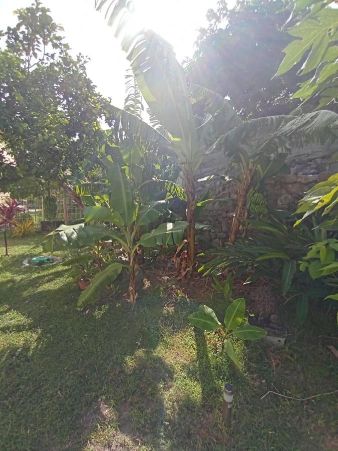 Le Goyavier Apartment Saint-Pierre Bagian luar foto